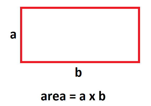 1.1 Let's be clear: What do we mean by AREA? | G'Day Math